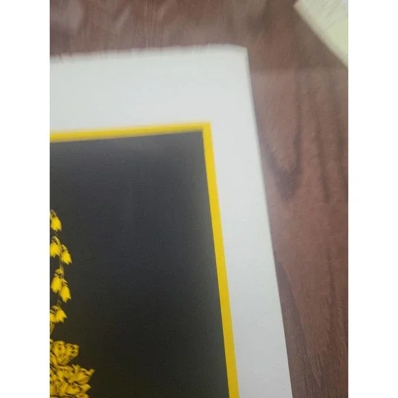C.S. Shawver Beautiful Yellow Floral Black Background Art Lithograph Print 7/90